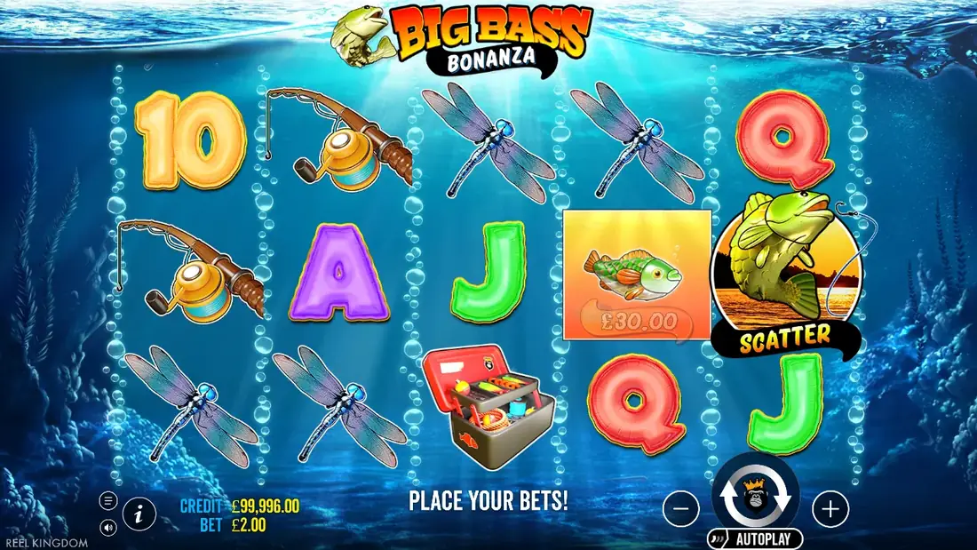 Symbols landing on a spin of Big Bass Bonanza